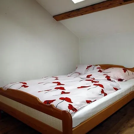 Albergue Goscinne *